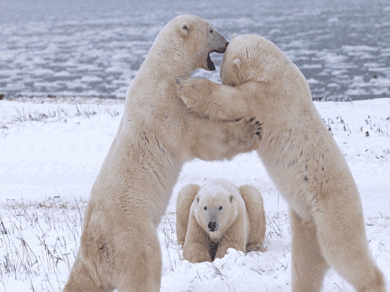杨女士成功案例